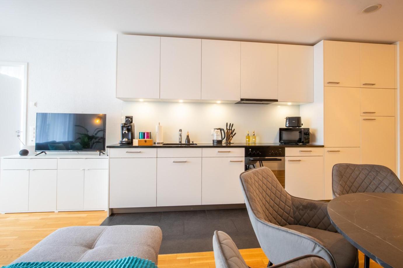 Special Einstein I Apartment Basel, Messe Kleinbasel 10-Star المظهر الخارجي الصورة