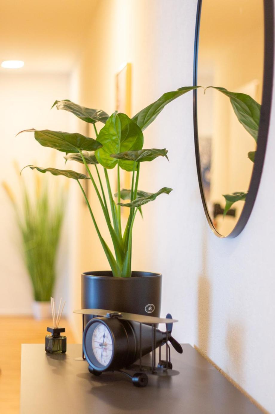 Special Einstein I Apartment Basel, Messe Kleinbasel 10-Star المظهر الخارجي الصورة